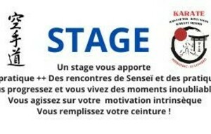 STAGE KARATE JEUDI 12 FEVRIER 2026