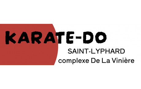 FLYER 2025/2026 pour le dojo de ST LYPHARD 